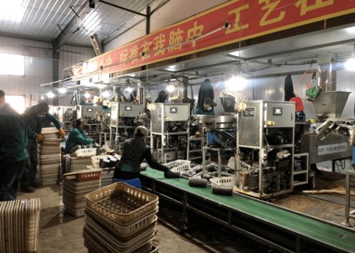 牡丹江市村集體招商項(xiàng)目第1期 聚焦教育領(lǐng)域，打造鄉(xiāng)村發(fā)展新引擎